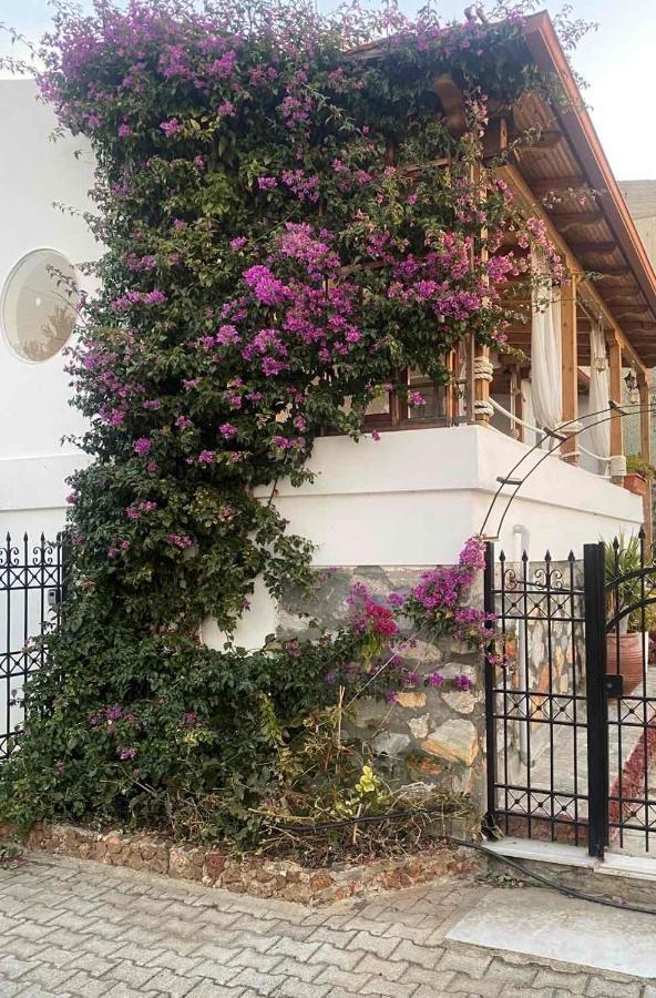 Beautiful Beach House Gerakini Exterior photo